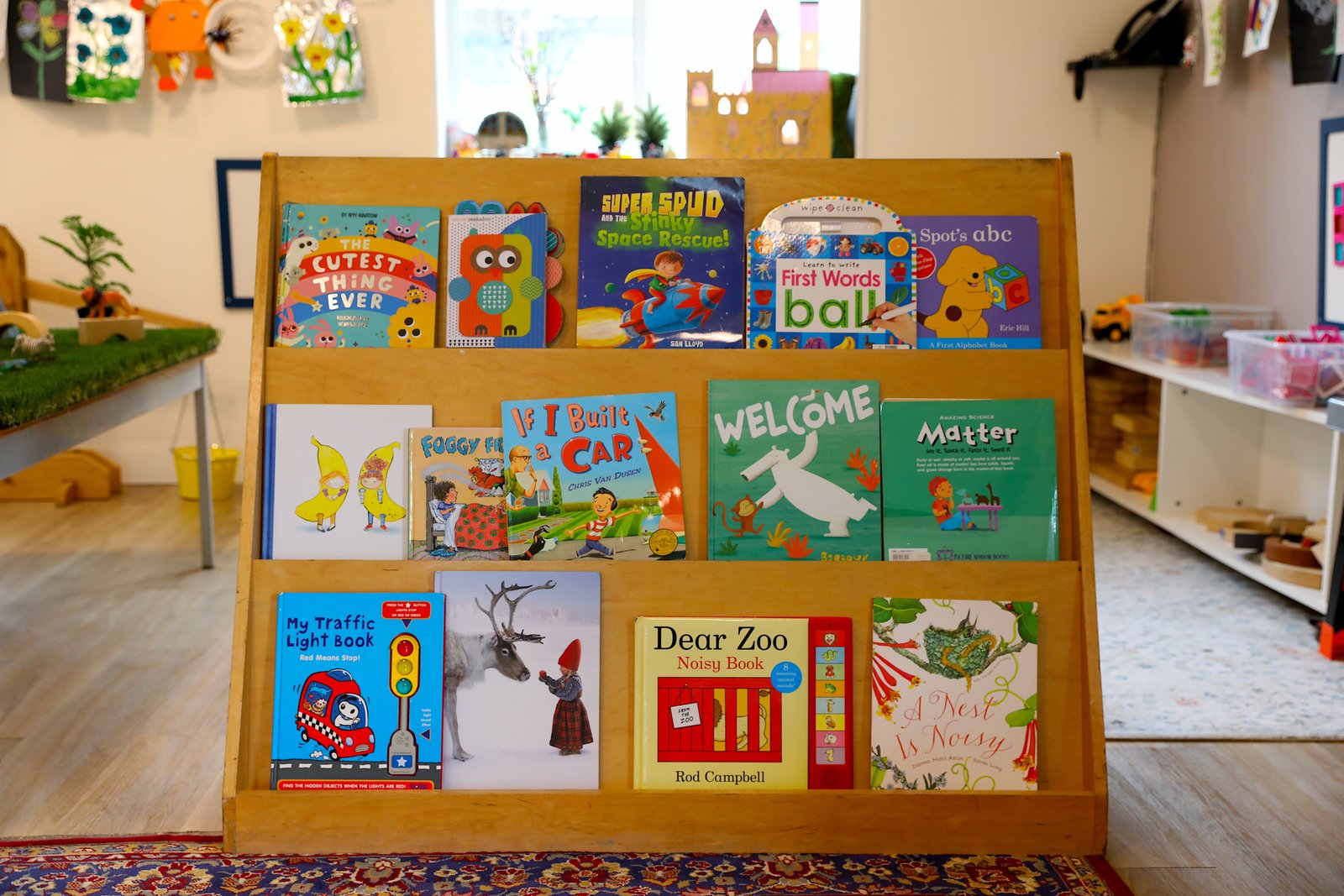 Picture book display shelf