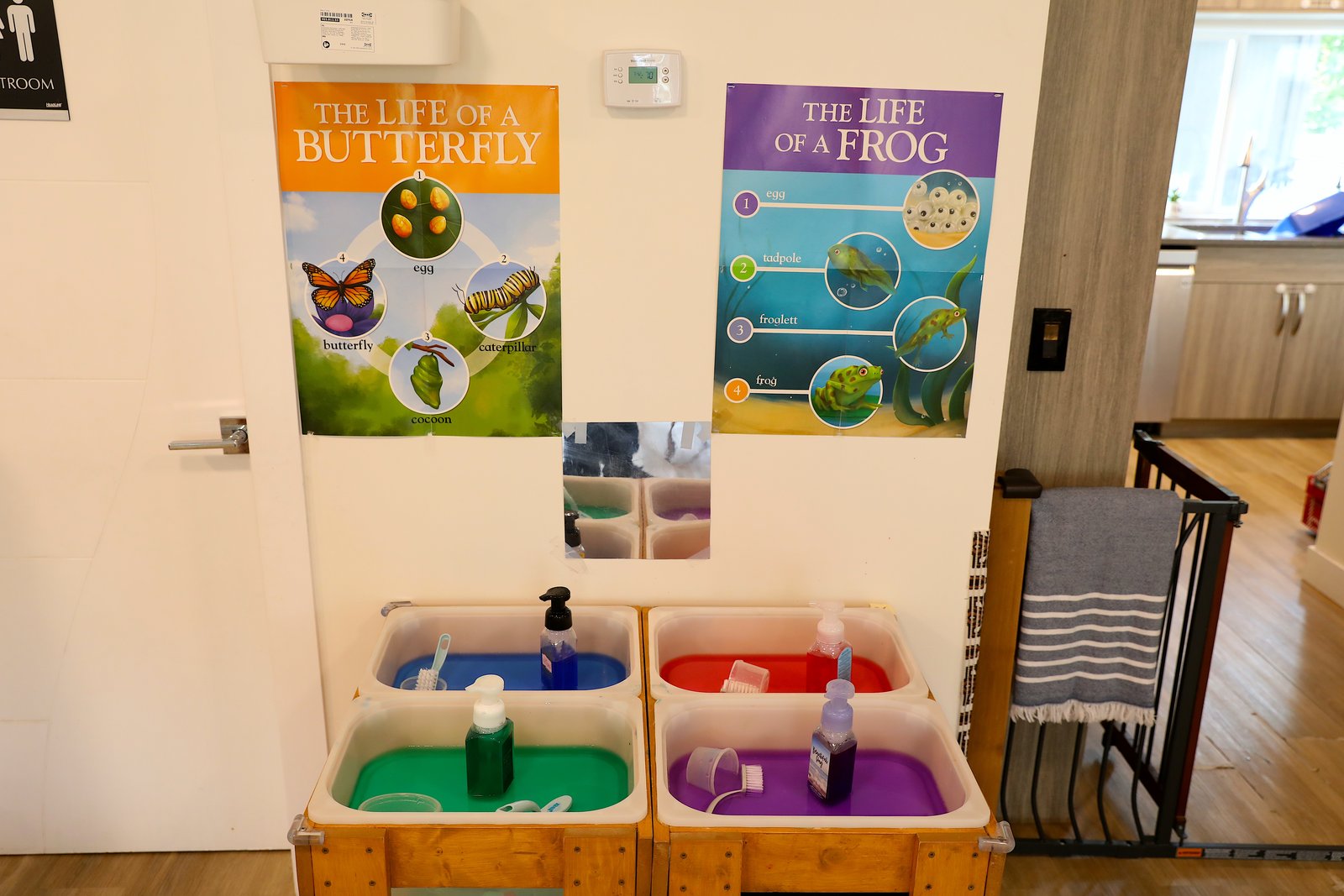 Sensory water station with coloured basins and life cycle posters